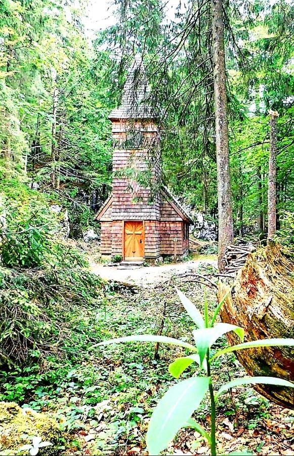 Tauglerei Appartement Bernstein In Den Zauberbergen Sankt Koloman Dış mekan fotoğraf
