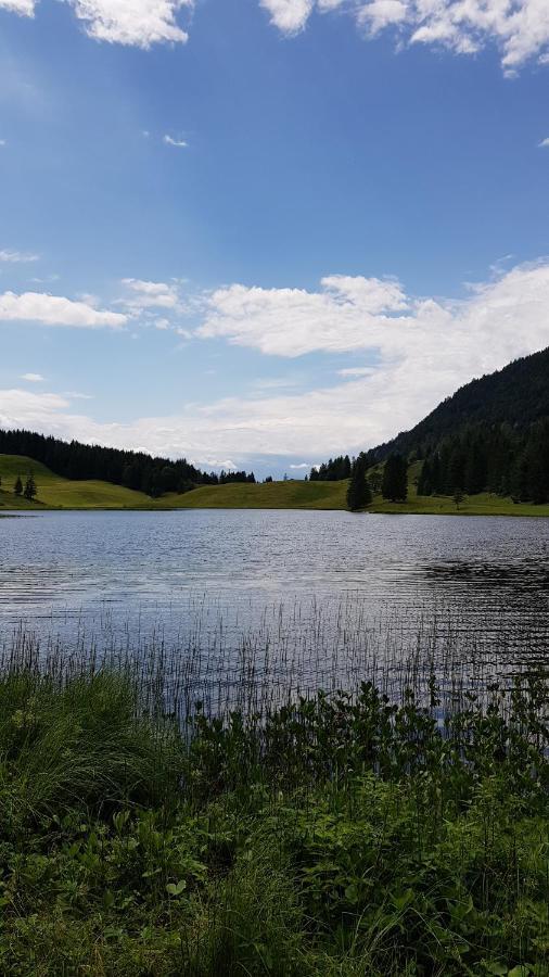 Tauglerei Appartement Bernstein In Den Zauberbergen Sankt Koloman Dış mekan fotoğraf