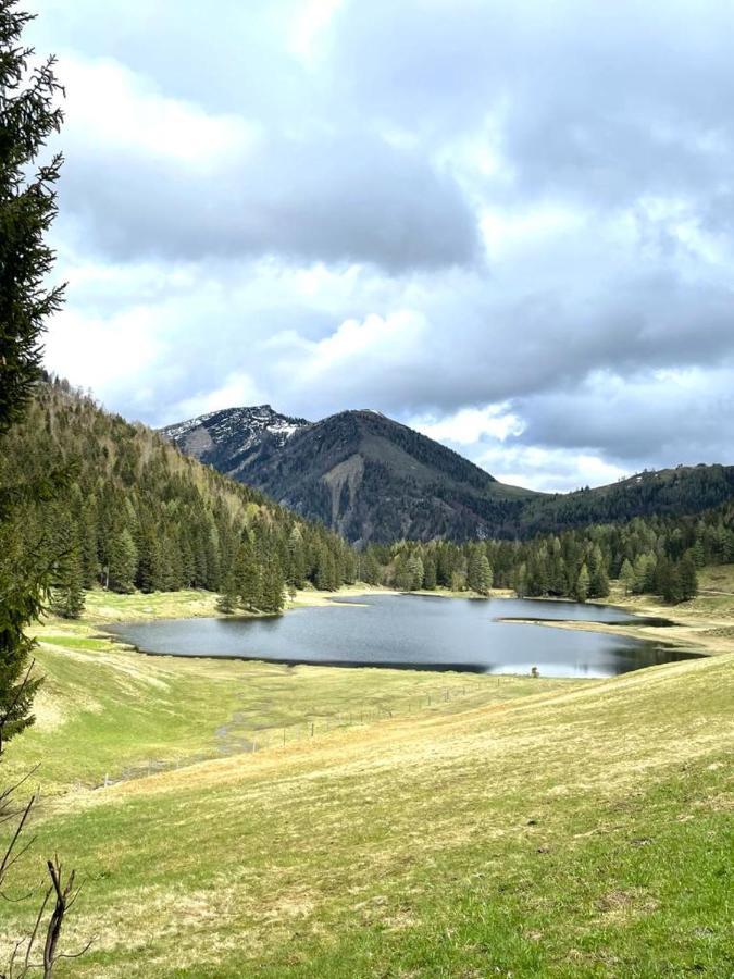 Tauglerei Appartement Bernstein In Den Zauberbergen Sankt Koloman Dış mekan fotoğraf